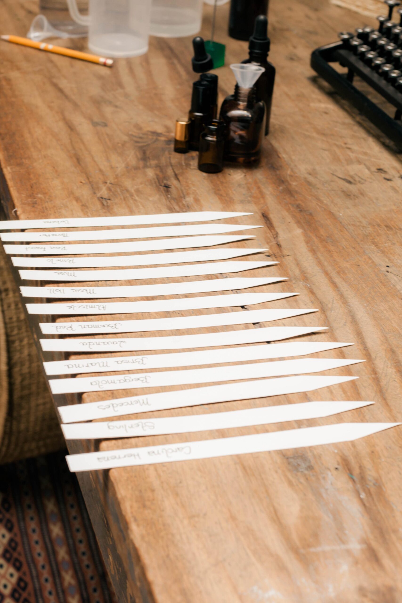 WhatsApp Image 2025-11-06 at 17.53.37